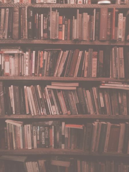 Una libreria con scaffali pieni di libri. per veri Booklover. Trovi tutti gli articoli di questa categoria.